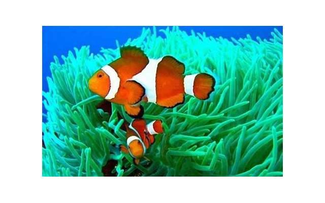 失去的爱情,如何用六个步骤挽回前任? 失去的爱情,如何用六个步骤挽回前任?