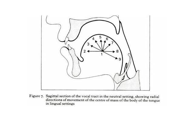 戴尔服务器，如何利用高效稳定的IT架构构建你的爱情保障？