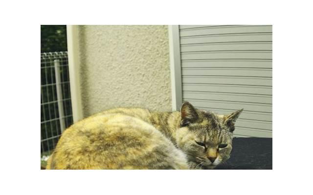 怎样去挽回爱人，如何用行动挽回爱人？