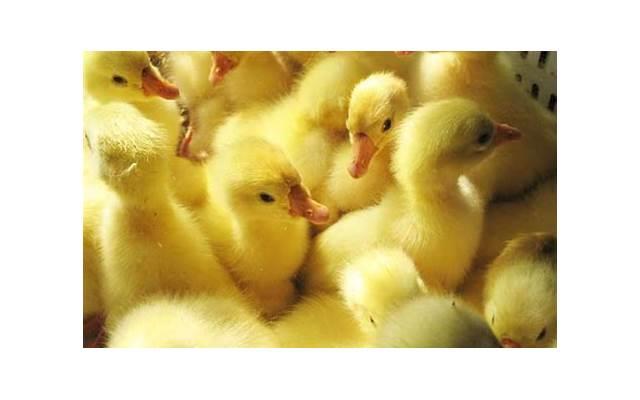 男性内裤太紧会影响性能力吗?男性应该如何选择内裤? 男性内裤太紧会影响性能力吗?男性应该如何选择内裤?