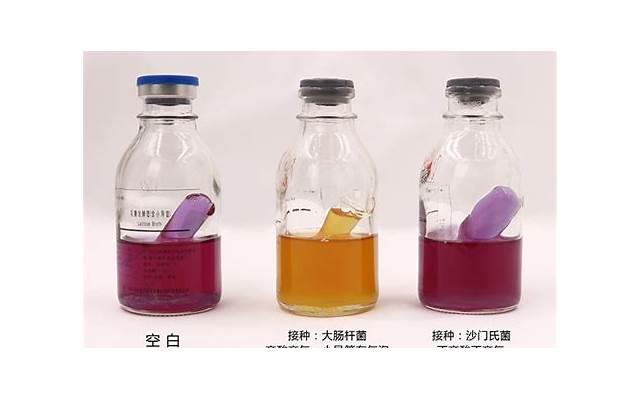 爱情大介绍，如何让你爱的人爱上自己？