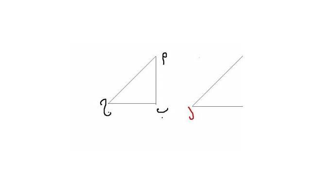 90岁大寿,爱情依旧鲜活这位老人是如何守护爱情的? 90岁大寿,爱情依旧鲜活这位老人是如何守护爱情的?