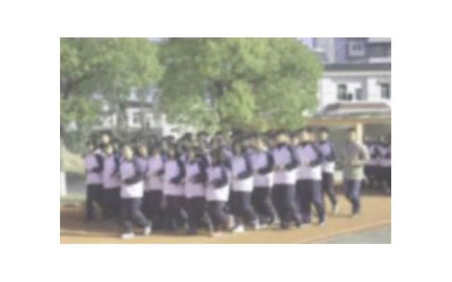 爱情中的赞美松树,如何用诗歌表达? 爱情中的赞美松树,如何用诗歌表达?