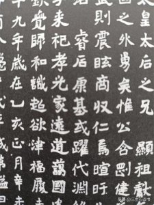 ​北魏《冯熙墓志》，有可能是北魏孝文帝的字迹。