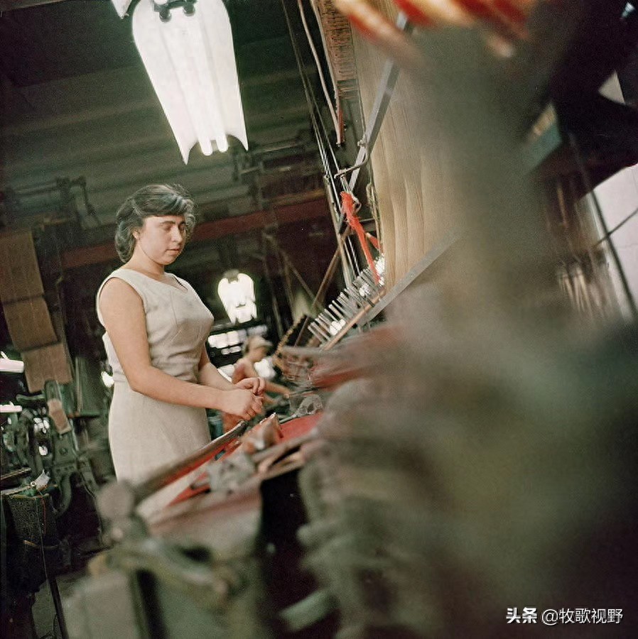 1966年爱沙尼亚的一组珍贵相片