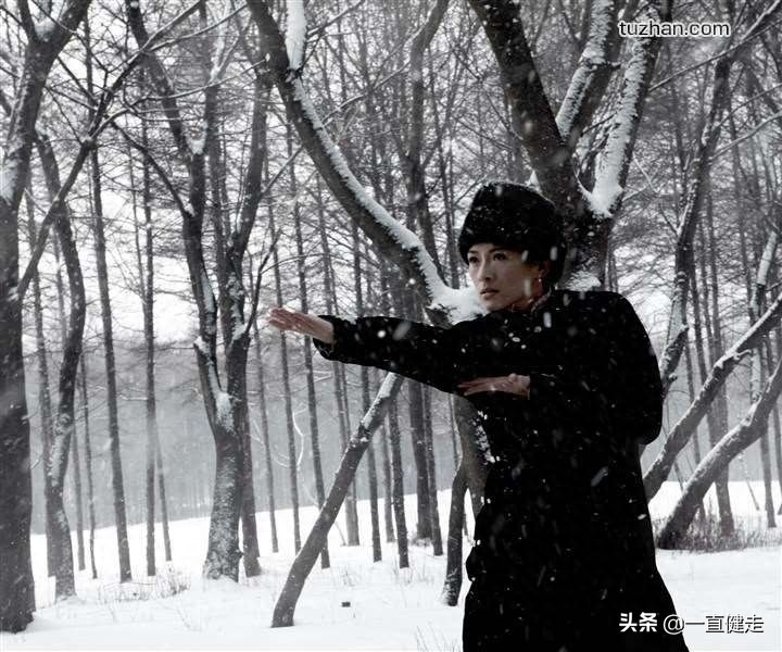 “少林寺”系列之三十五——《一代宗师》