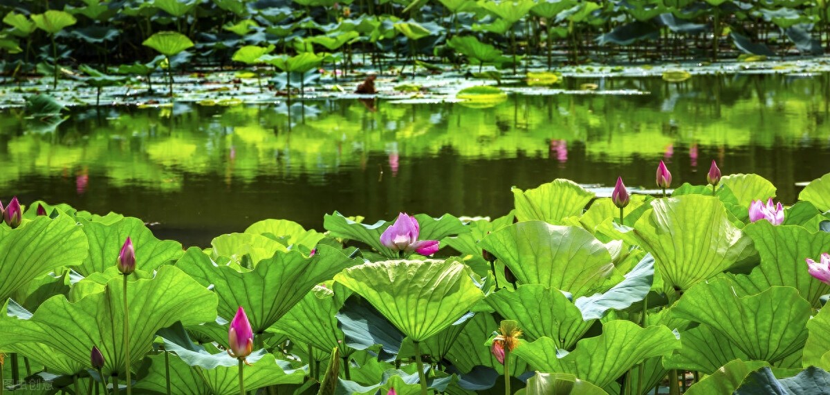 中国清朝时期皇家园林“颐和园”高清图集赏