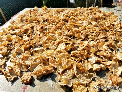 神秘的湘西，不止有“赶尸”传说