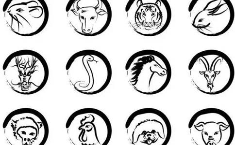 十二生肖为什么没有猫?历史根据是什么?