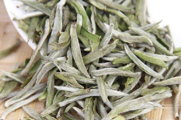 白毫银针可以存放多久 白毫银针放冰箱储存好吗 白毫银针可以存放多久 白毫银针放冰箱储存好吗